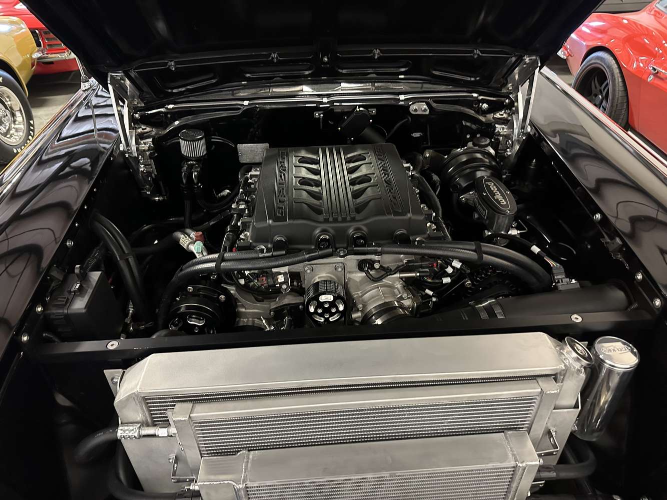 IMG_0644.jpeg IMG_0644.jpeg